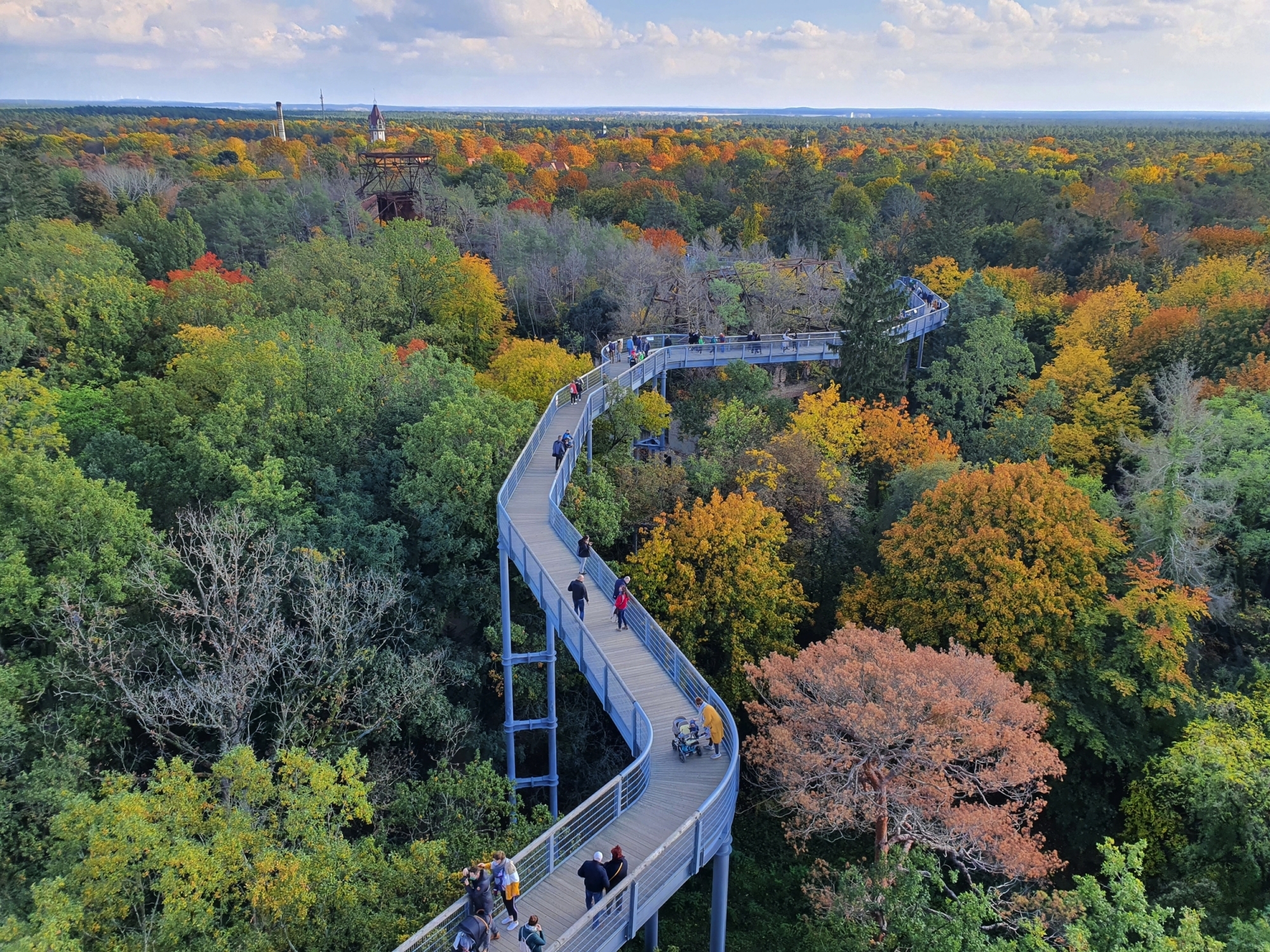Panoramablick auf den Baumwipfelpfad entlang der bunten Baumkronen in Beelitz-heilstätten