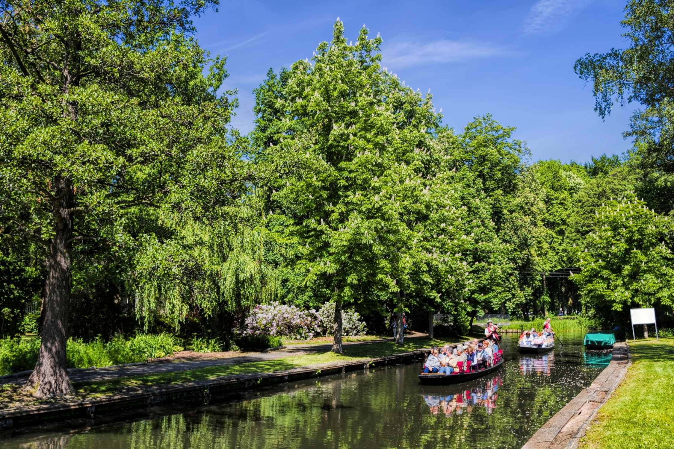 Spreewald nahe Lübbenau