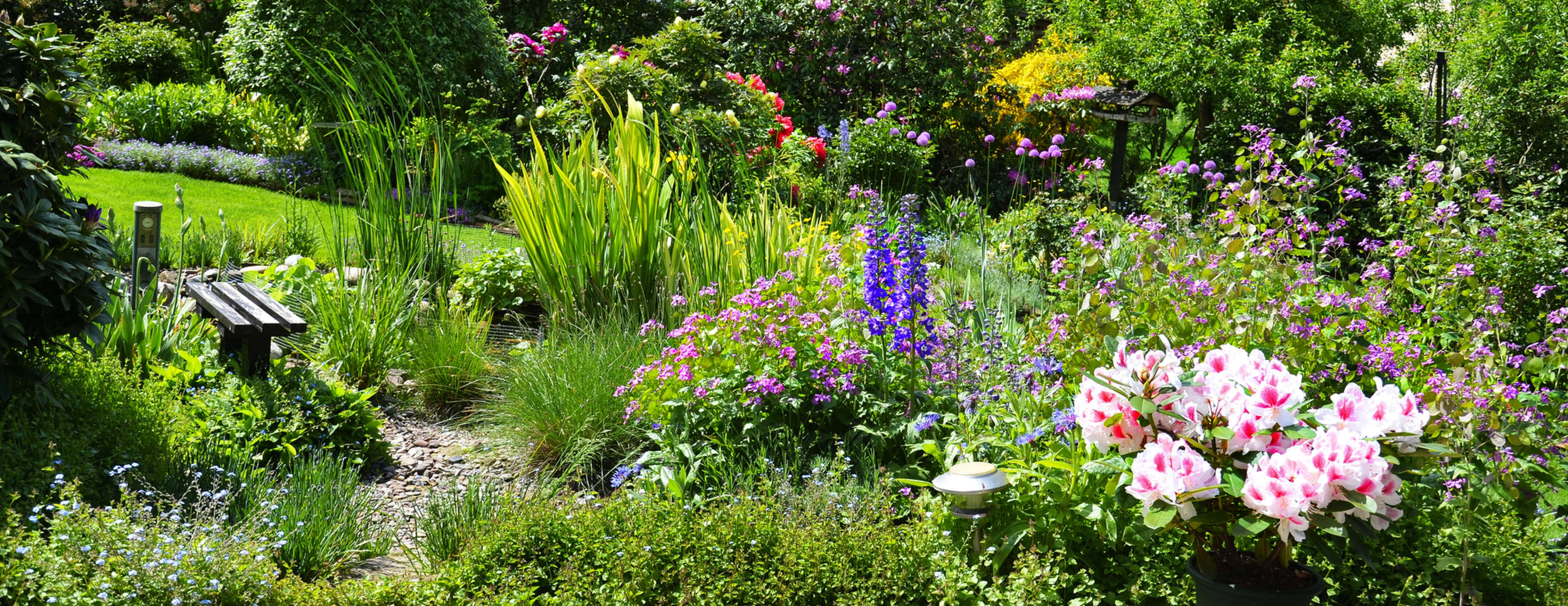 Blick in den schönen Sommergarten