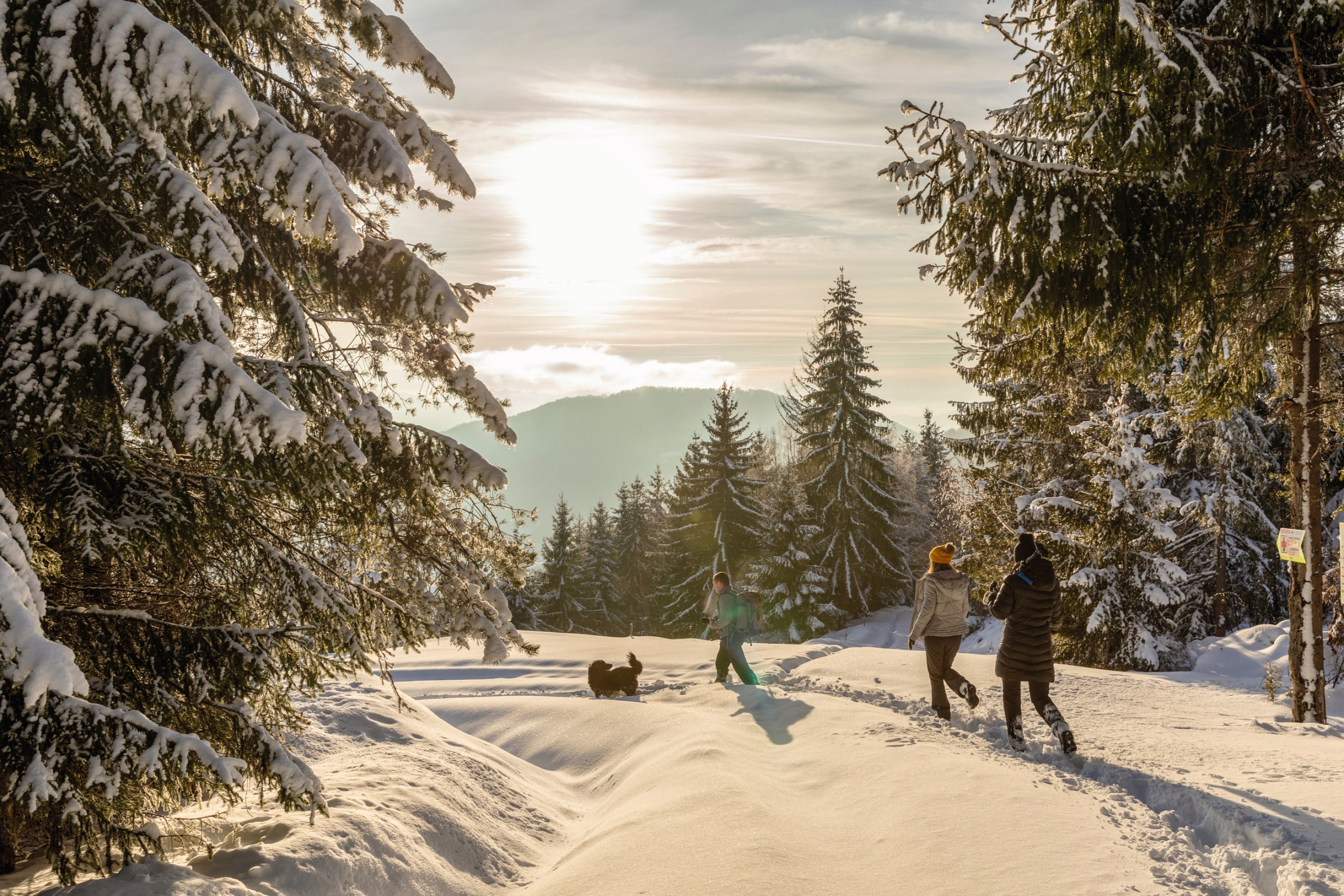 Winterwanderung