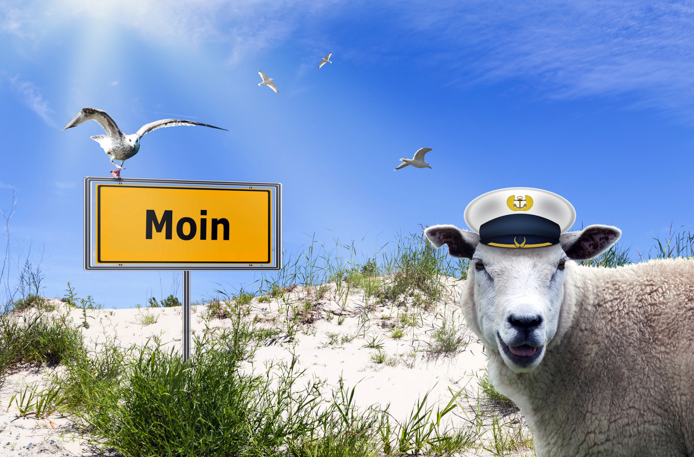 Moin!